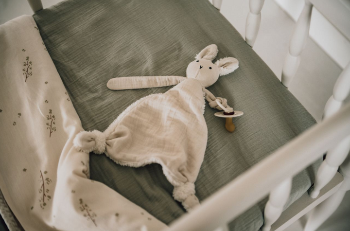 Sleep Tuttle (Cuddle Cloth)