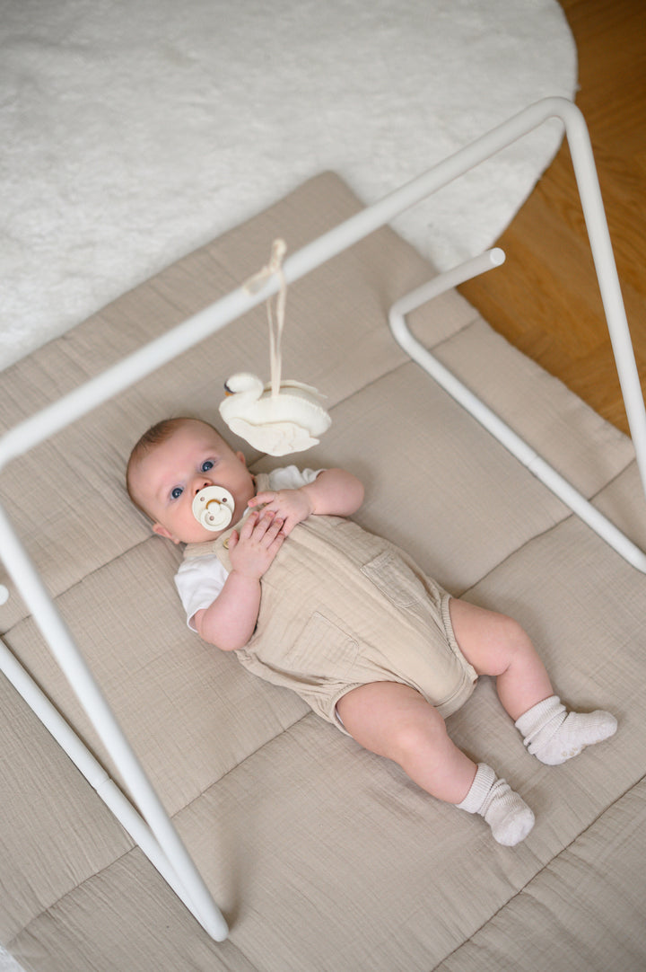 Lotus Babygym