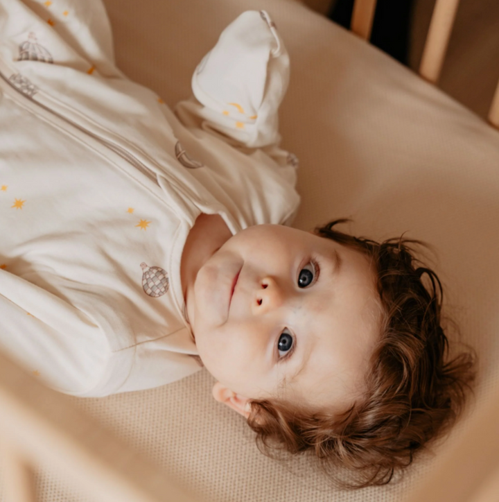 The Bag - для новорождённых (0-6 мес.)