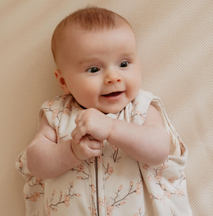 The Bag - для новорождённых (0-6 мес.)