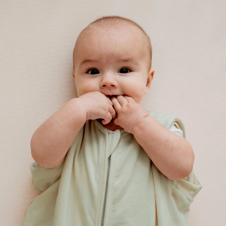 The Bag - для новорождённых (0-6 мес.)