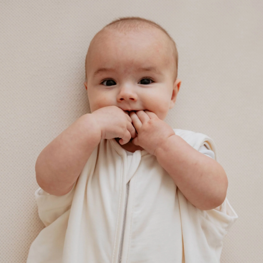 The Bag - для новорождённых (0-6 мес.)