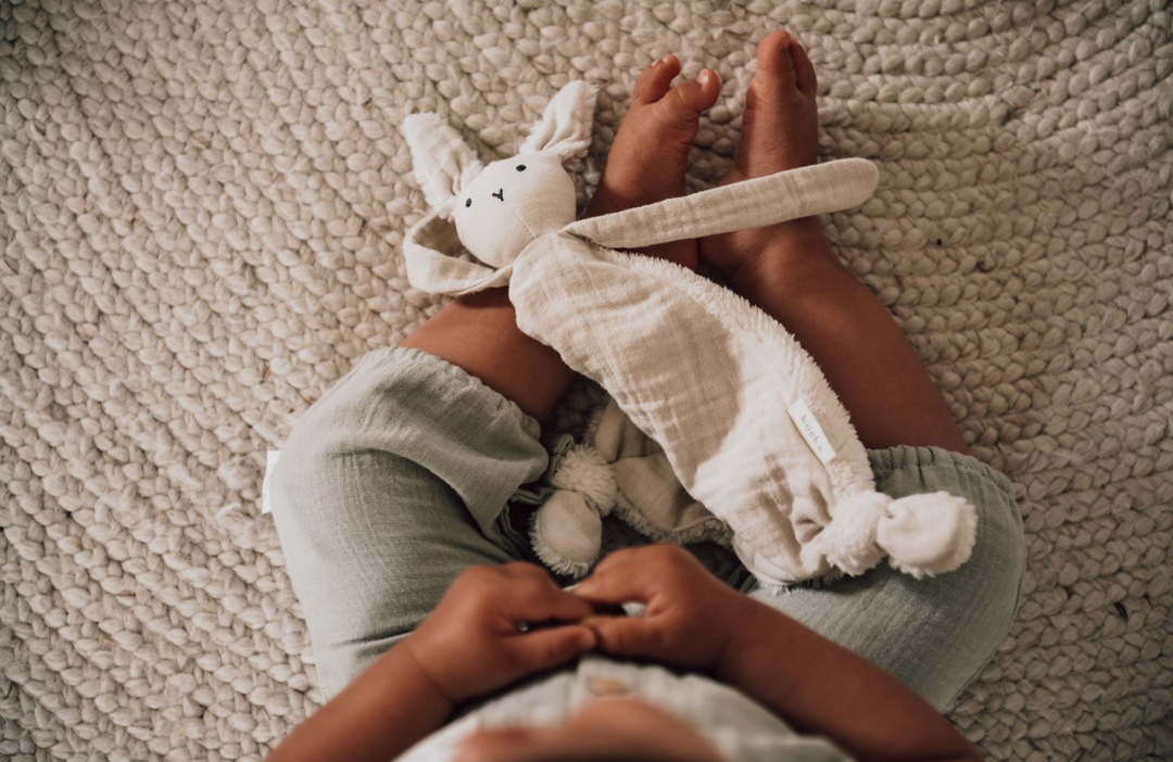 Sleep Tuttle (Cuddle Cloth)